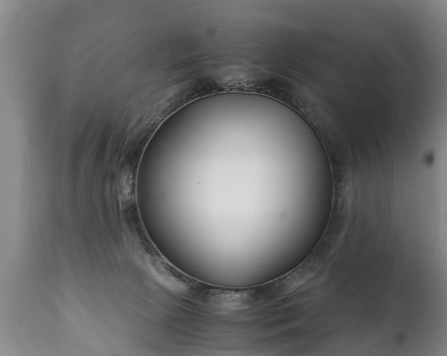 X0000110930081200906251344
