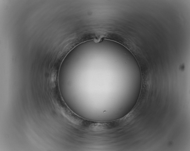 X0000110930082200906251344