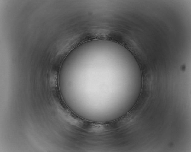 X0000110930083200906251344
