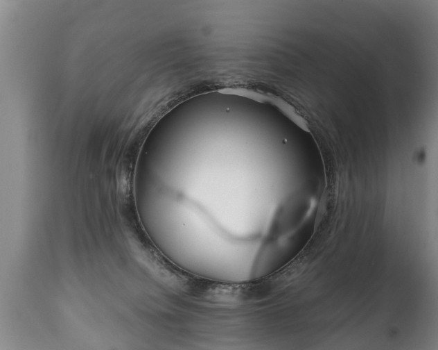 X0000110930084200906251344