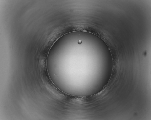 X0000110930086200906251344
