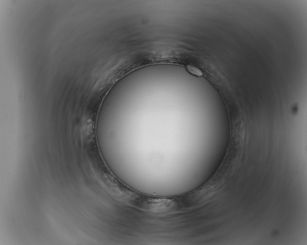 X0000110930087200906251344