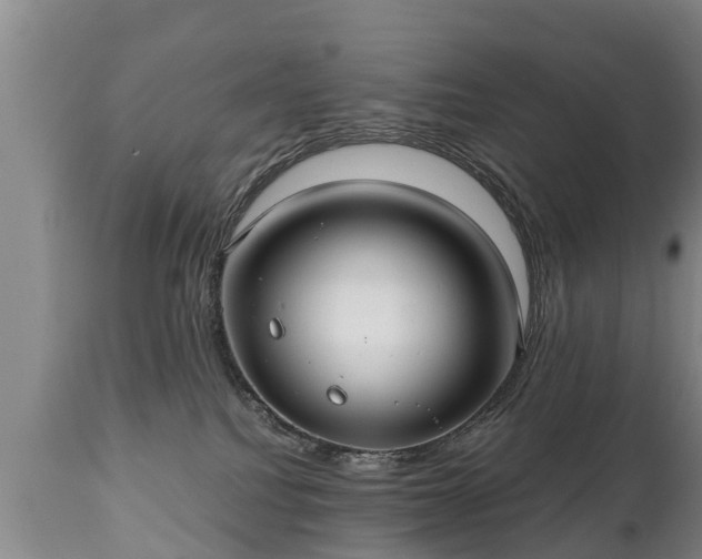 X0000110930088200906251344