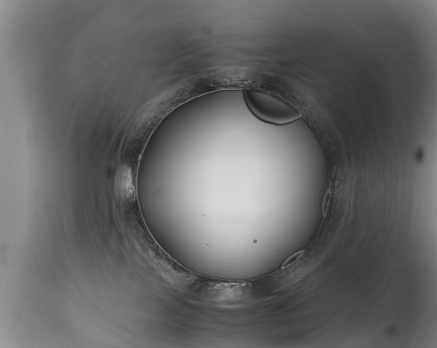 X0000110930089200906251344