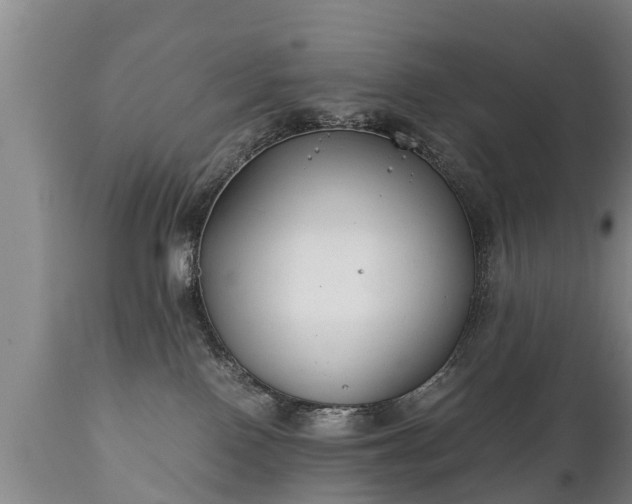 X0000110930090200906251344