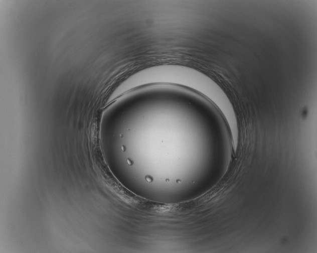 X0000110930092200906251344