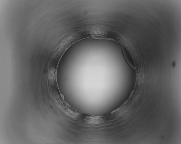 X0000110930093200906251344
