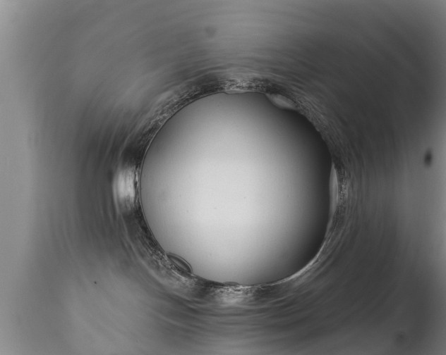X0000110930094200906251344