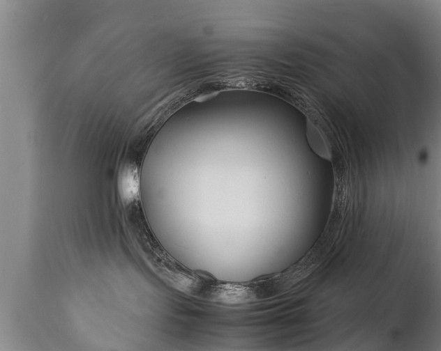 X0000110930095200906251344