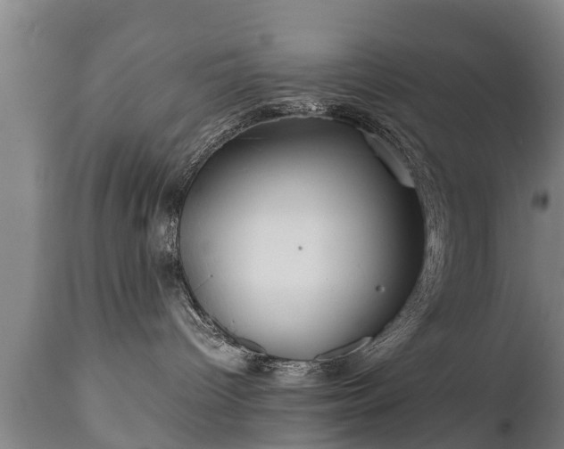 X0000110930096200906251344