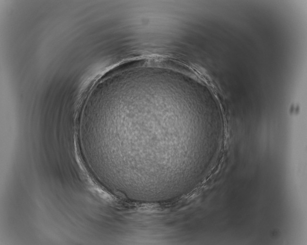 X0000110930097200906251343