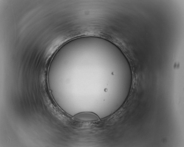 X0000110930098200906251343