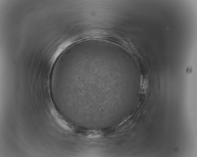 X0000110930099200906251343