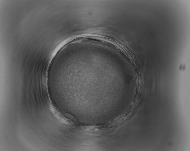 X0000110930100200906251343