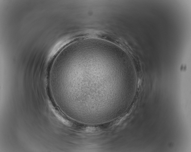 X0000110930101200906251343