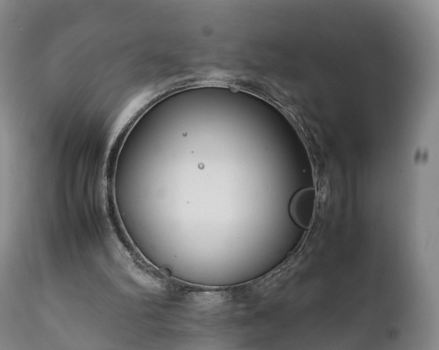X0000110930102200906251343