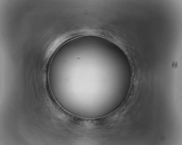 X0000110930103200906251343