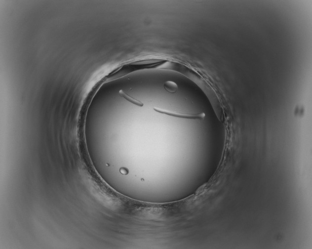 X0000110930104200906251343