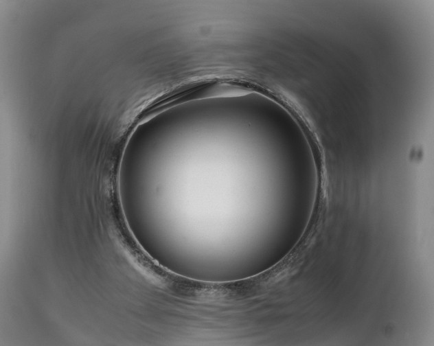 X0000110930105200906251343