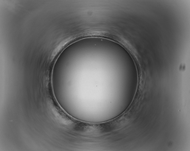 X0000110930107200906251343