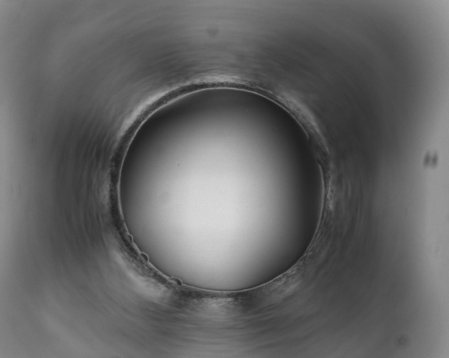 X0000110930108200906251343
