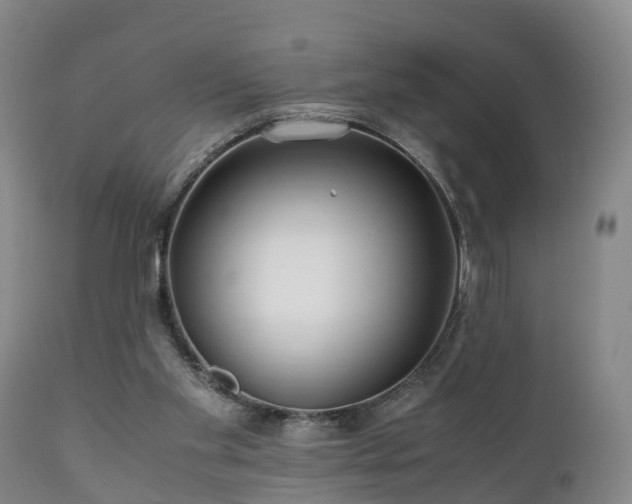 X0000110930109200906251343