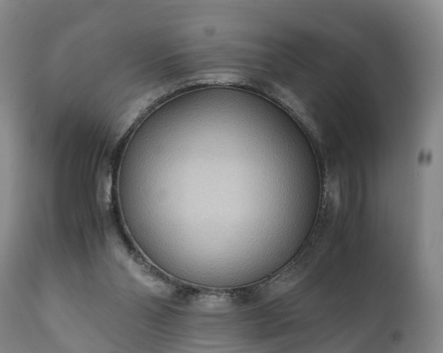 X0000110930110200906251343