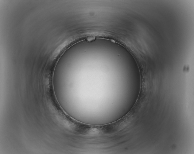 X0000110930111200906251343