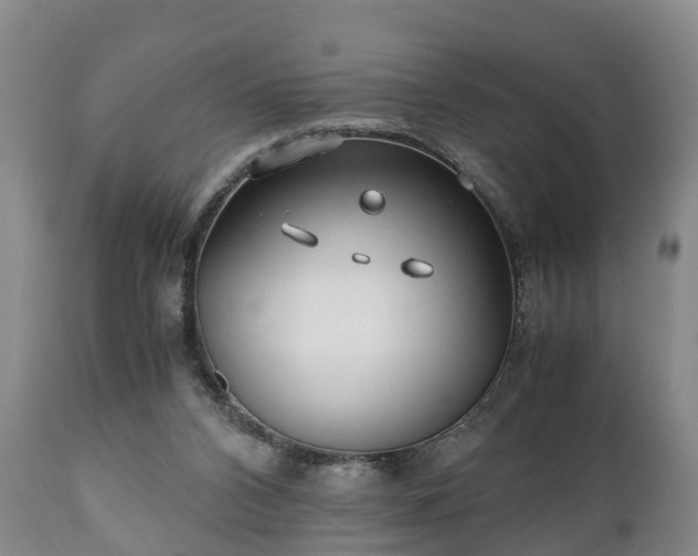 X0000110930112200906251343