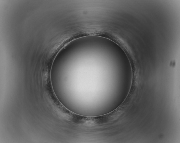 X0000110930113200906251343