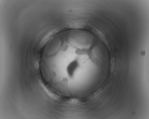 X0000110930114200906251343