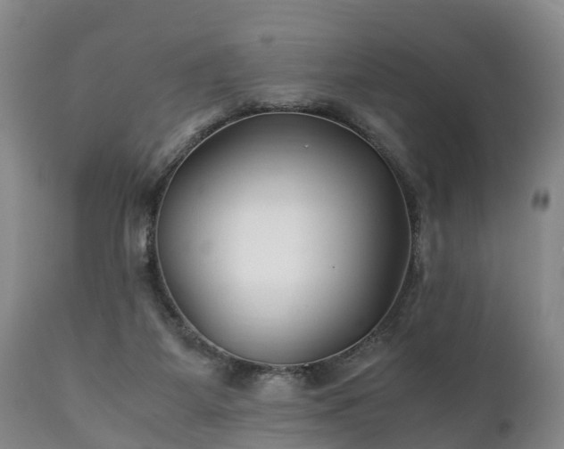 X0000110930115200906251343