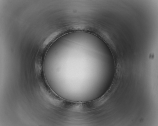 X0000110930116200906251343