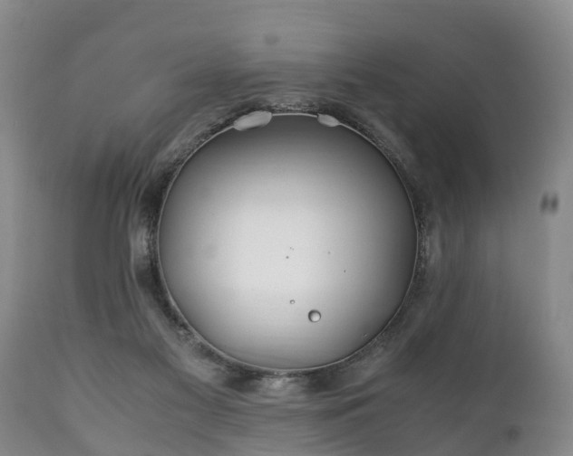 X0000110930117200906251343