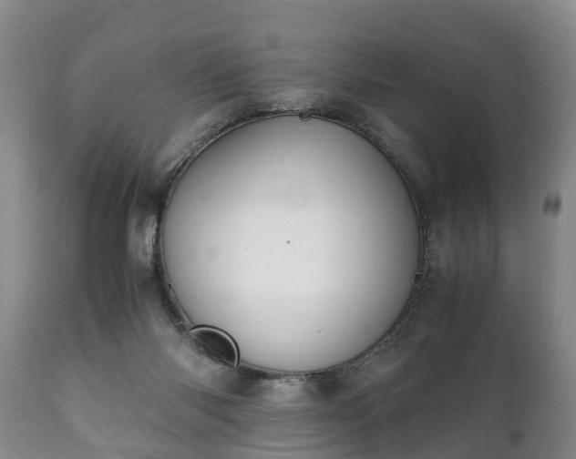 X0000110930118200906251343