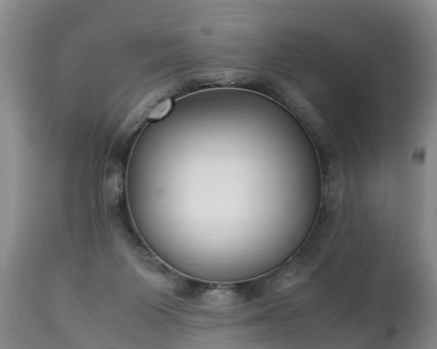 X0000110930119200906251343