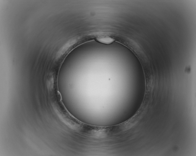 X0000110930120200906251343