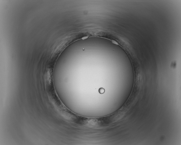 X0000110930121200906251343