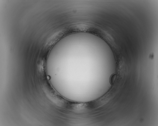 X0000110930122200906251343