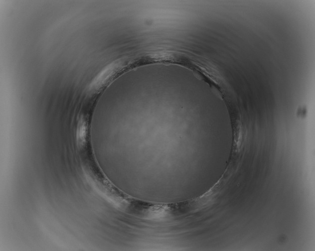 X0000110930124200906251343