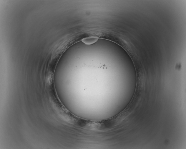 X0000110930125200906251343
