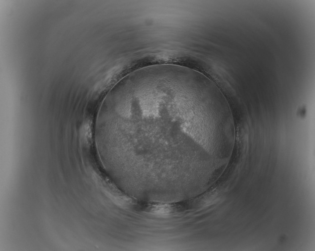 X0000110930127200906251343