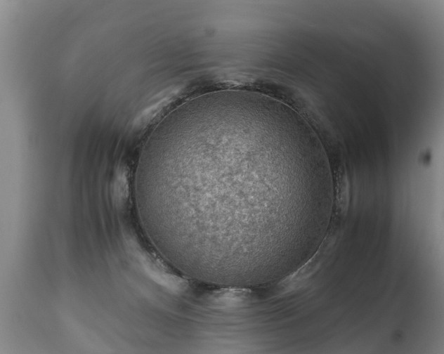 X0000110930128200906251343