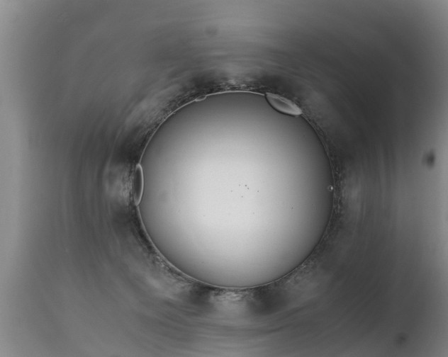 X0000110930129200906251343