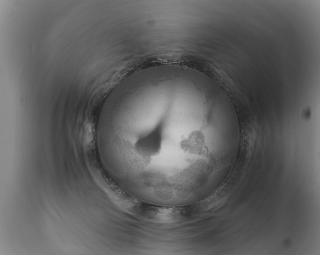 X0000110930130200906251343