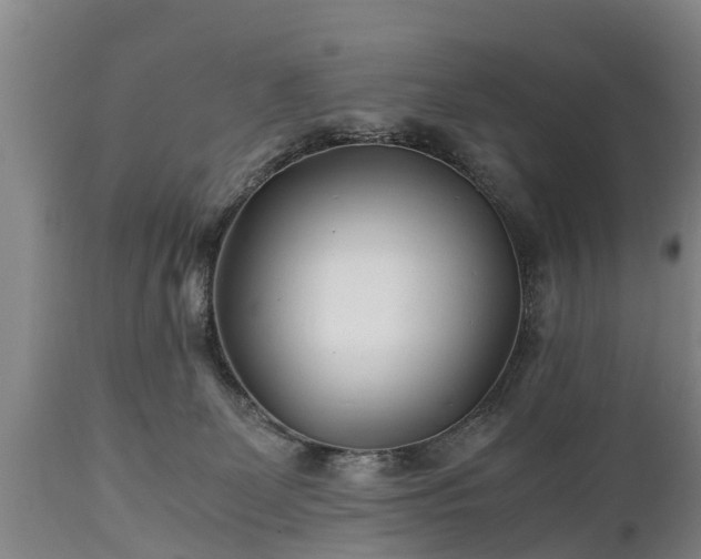 X0000110930131200906251343