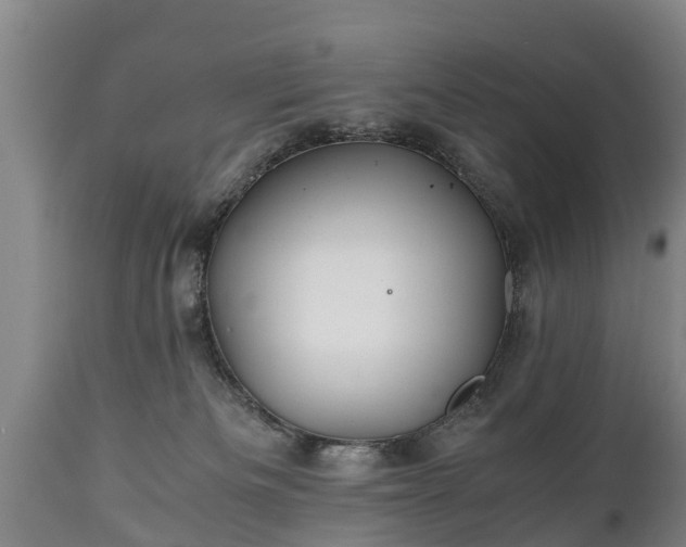 X0000110930133200906251343