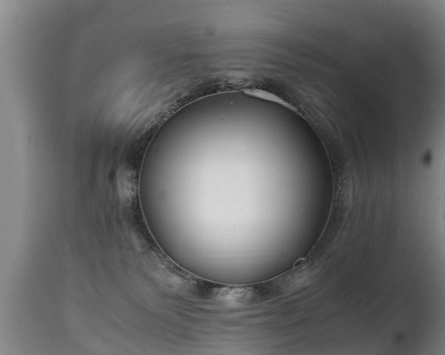 X0000110930135200906251343