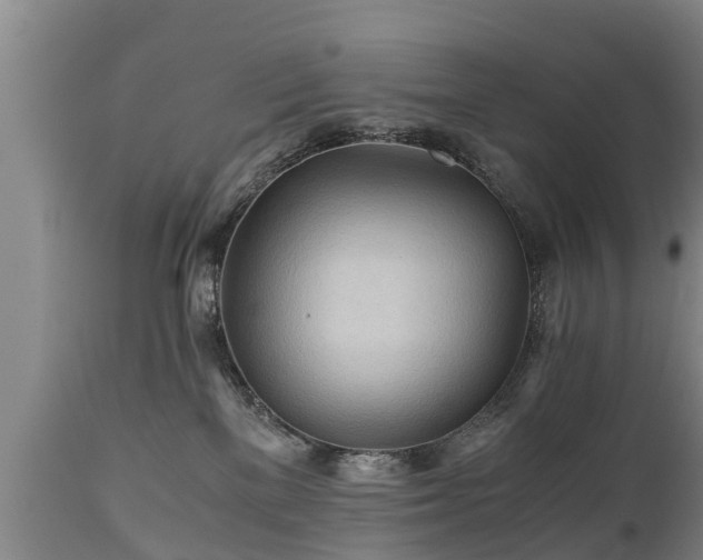 X0000110930137200906251343