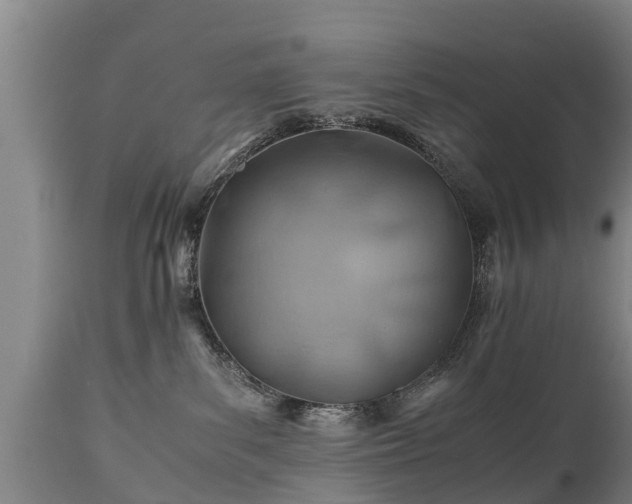 X0000110930139200906251343